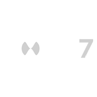 Roav7